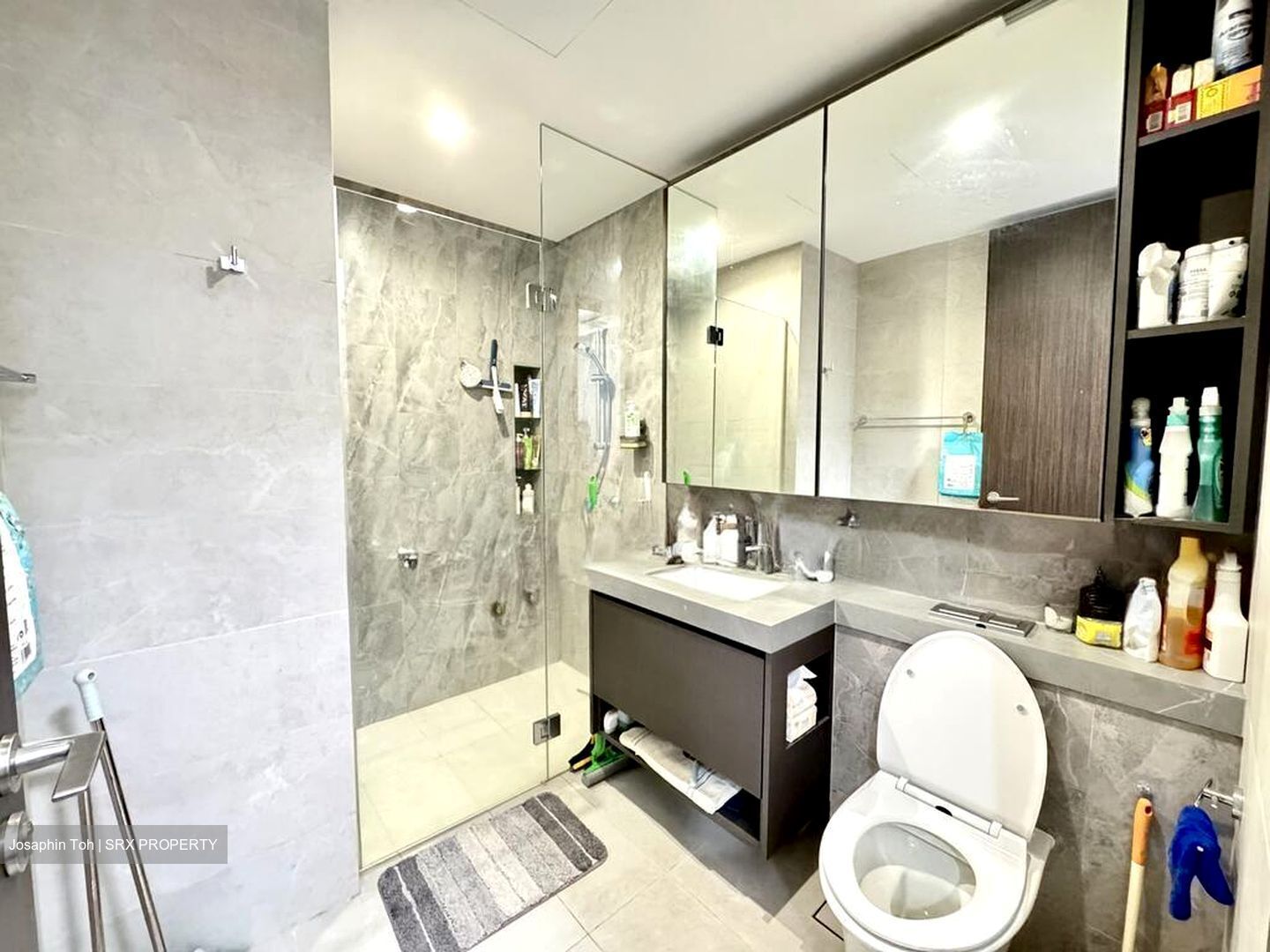 Parc Clematis (D5), Apartment #504100381